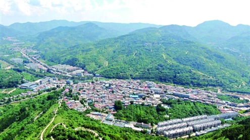 西营街道聚焦生态治理,全力守护碧水青山